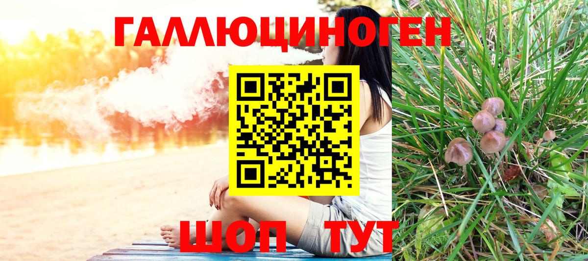 Галлюциногенные грибы прущие грибы Киров