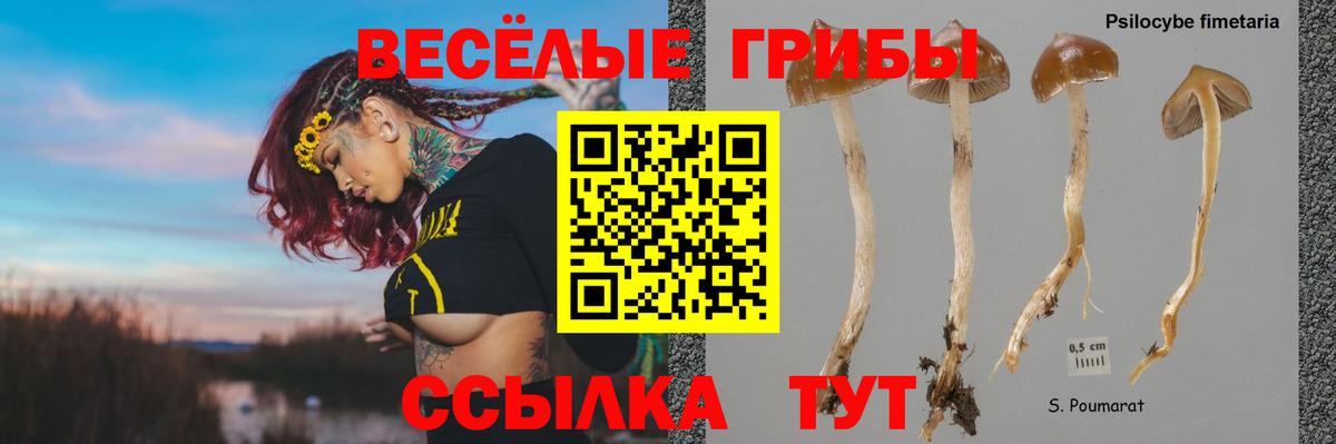 Киров  Галлюциногенные грибы Psilocybe  Вход с VPN  Псилоцибиновые грибы Cubensis 